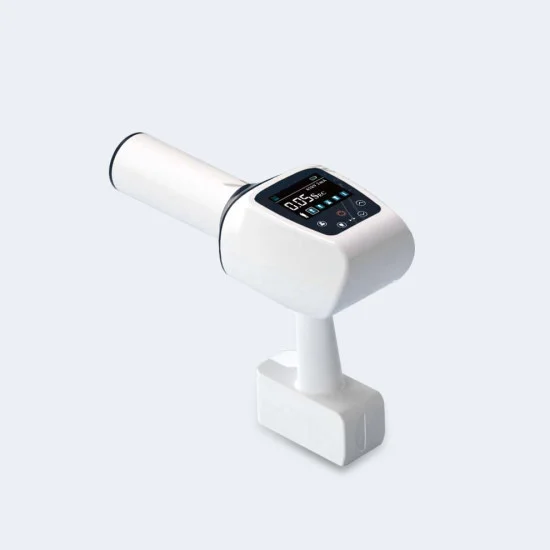 Radio Portable